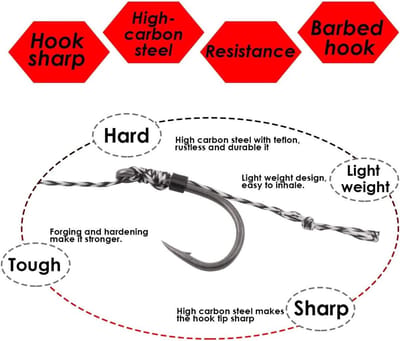 Carp Vissen - 20 Stuks Haar Rigs met Gebogen Haken, Braided Accessoires en Boilie Rig voor Effectieve Aaspresentatie, Maten 2 4 6 8