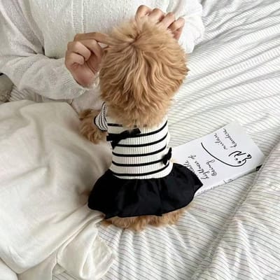 Vêtements pour animaux de compagnie Rayés Simples Respirants Été Robe pour Chien pour Petits Animaux L