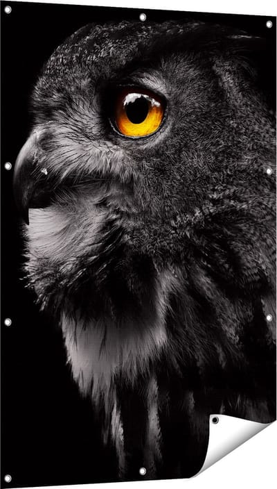 Gards Tuinposter Zwarte Uil met Gouden Ogen - 80x120 cm - Tuindoek - Tuindecoratie - Wanddecoratie buiten - Tuinschilderij