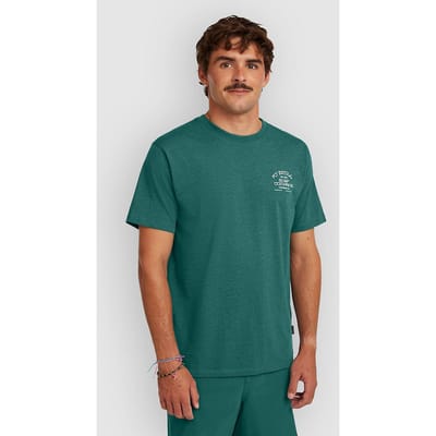 O'Neill Melange Chest Print T-Shirt groen