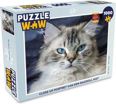 Puzzel Close-up portret van een Ragdoll kat - Legpuzzel - Puzzel 1000 stukjes volwassenen