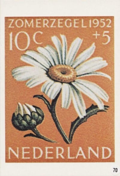 Briefkaart met afbeelding margriet postzegel