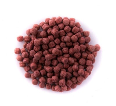 Oswalt Astax Pellet 6mm - 2.5KG - Vissenvoer