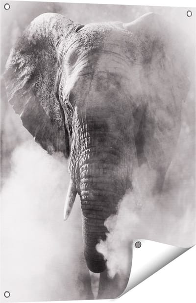 Gards Tuinposter Olifantenkop - Olifant - Zwart Wit - 60x80 cm - Tuindoek - Tuindecoratie - Wanddecoratie buiten - Tuinschilderij