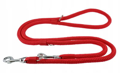 Verstelbare Hondensnoer Champion 2.5m - Rood, Dik 1.4cm