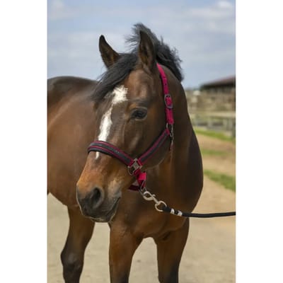 Equithème Halster Equithème Strass Donkerrood
