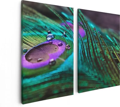 Artaza Canvas Schilderij Tweeluik Kleurrijke Pauw Veer Met Waterdruppels  - 80x60 - Foto Op Canvas - Canvas Print