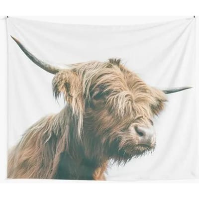 Grappige Schotse Hooglander Tapijt Westers Land Dier Stier Vee Boerderij Decoratie Tapijt Wandkleed voor Woonkamer Slaapkamer W95xH70cm