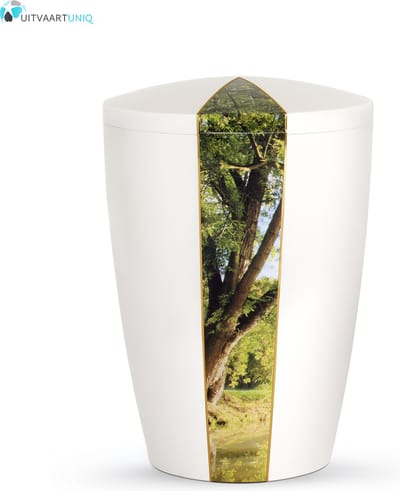 Urn wit parlemoer boom - bio