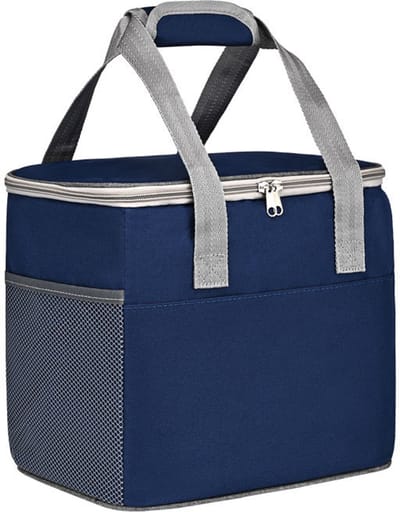 Tas-koeltas- Geïsoleerde Lunchtas - 16L Grote Capaciteit Koeltas - Thermische Lunchbox Tas voor Werk, Picknick en Strand - Waterdicht en Lekvrij - 29x22x26 cm