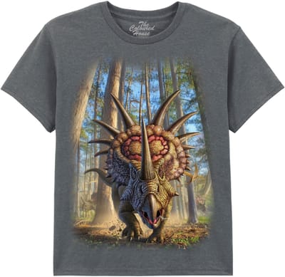 KIDS Dino Styracosaur The Coloured House KIDS T-shirt XL