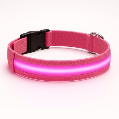 Professor Q – LED Halsband Hond – Lichtgevend - Oplaadbare LED Halsband Hond – Roze – Maat XS