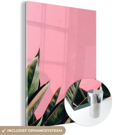 MuchoWow® Glasschilderij 30x40 cm - Schilderij acrylglas - Planten - Bladeren - Vrouwentong - Roze - Tropisch - Foto op glas - Schilderijen
