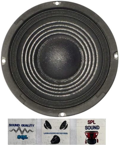 Krachtige 25 cm (10 inch) Woofer Luidspreker 75W RMS - 8 Ohm voor Hifi Audio