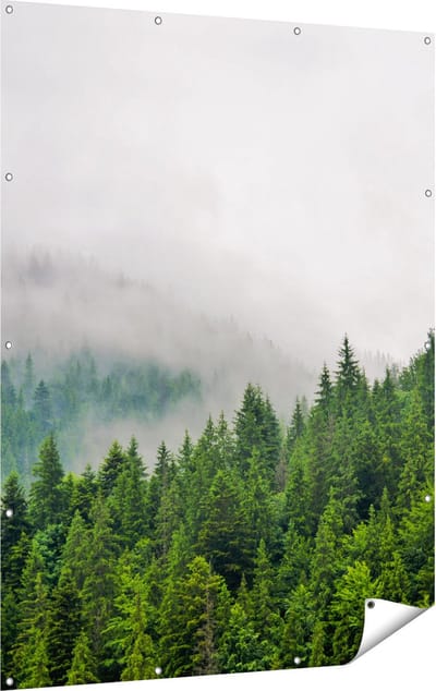 Gards Tuinposter Groen Bos met Bomen tijdens de Mist - 120x160 cm - Tuindoek - Tuindecoratie - Wanddecoratie buiten - Tuinschilderij