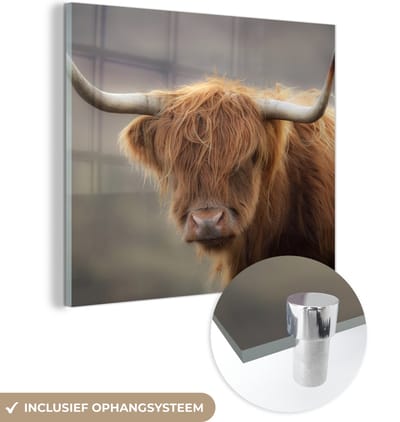 MuchoWow® Glasschilderij 50x50 cm - Schilderij acrylglas - Schotse Hooglander - Hoorns - Haar - Foto op glas - Schilderijen