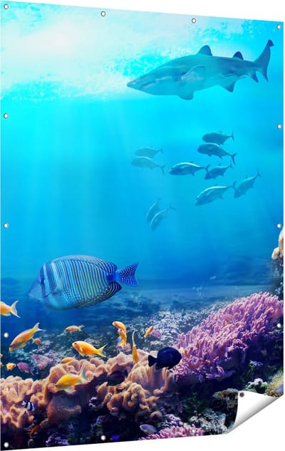 Gards Tuinposter Vissen met Haaien in de Oceaan met Koraalrif - 120x160 cm - Tuindoek - Tuindecoratie - Wanddecoratie buiten - Tuinschilderij