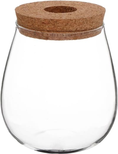 Creatieve Transparante Hydroponische Glazen Vaas voor Binnenplanten - Ondersteuning voor Grondpropagatie, Terrarium Planten en Desk Decor met Minimum Onderhoud