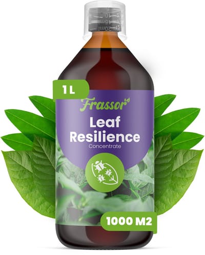 Leaf Resilience Concentraat - 1 L Voor 1000 M2 - Ondersteunt Natuurlijk Herstel Na Bladstress - Verbetert De Algehele Conditie En Het Uiterlijk Van De Plant - Ondersteunt De Prestaties Van Planten Op De Lange Termijn - Frassor