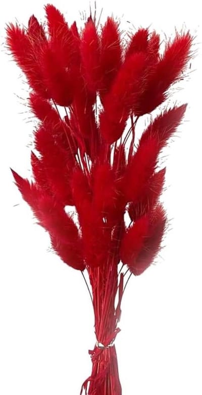 Gedroogd Pampasgras - Droogbloemen Boeket - Huis Decoratie - Natuurlijk en Herbruikbaar - 50 Stuks - Rood