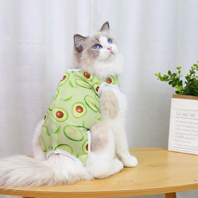 Vêtement Anti-léchage Stérilisation Chat Costume de Chirurgie Animal de Compagnie Idéal pour Petit Chien Chat Sevrage Respirant Chiot Anti-Grattage Sangle Corporelle Gilet Haute Qualité M vert