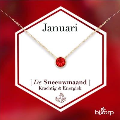 Bixorp Geboortesteen Ketting Januari - 18k Goud Verguld Roestvrij Staal met Zirkonia Hanger - Stainless Steel - Granaat