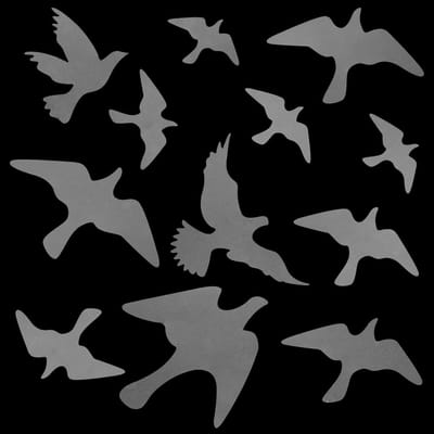 Vogelbeschermingsstickers voor Ramen - Multicolor - 31,5 x 17 cm - Zelfklevend PVC - Voor Bescherming van Vogels
