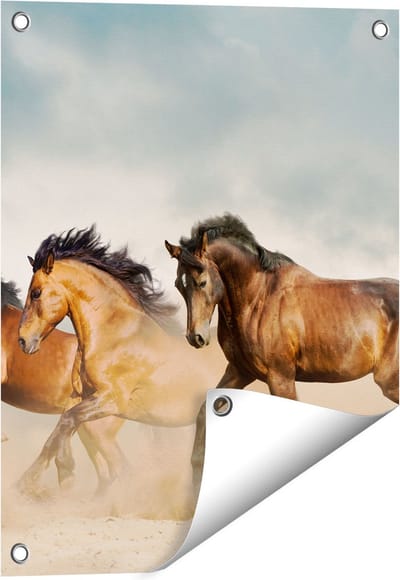 Gards Tuinposter Drie Bruine Paarden - 40x50 cm - Tuindoek - Tuindecoratie - Wanddecoratie buiten - Tuinschilderij