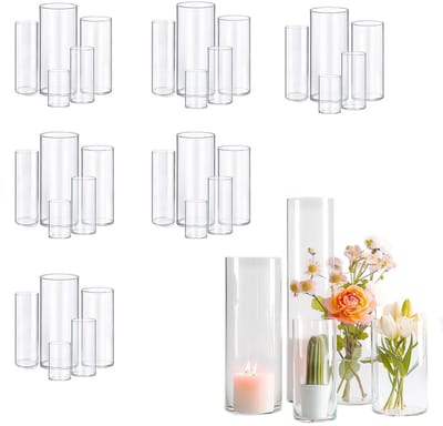 Dailygoods- Glasvaas Cilindrisch - Decoratieve Vaas - Bruiloft Vaas - Woondecoratie - Gedroogde Bloemen - Schokabsorberend Verpakt - Bloemenvaas