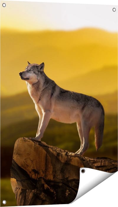 Gards Tuinposter Wolf op een Rots met een Heuvel Landschap - 60x90 cm - Tuindoek - Tuindecoratie - Wanddecoratie buiten - Tuinschilderij