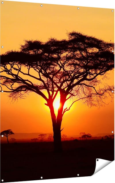 Gards Tuinposter Zonsondergang Achter een Savanne Boom - 120x160 cm - Tuindoek - Tuindecoratie - Wanddecoratie buiten - Tuinschilderij