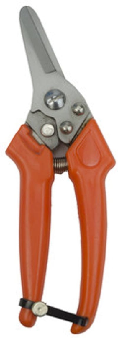 Excellent Klauwschaar voor schapen - Schapenhoefschaar - Claw Clipper Sheep - 19 CM - Oranje