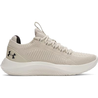 Under Armour Damen Sportschuhe Dynamic 2 3028077 Brown 289-36 (US 5,5)