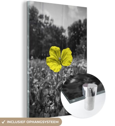 MuchoWow® Glasschilderij 40x60 cm - Schilderij acrylglas - Bloemen - Geel - Zwart - Wit - Foto op glas - Schilderijen