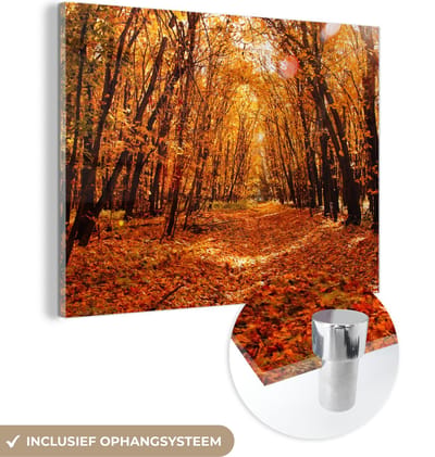 MuchoWow® Glasschilderij 40x30 cm - Schilderij acrylglas - Herfst - Bos - Bladeren - Seizoenen - Foto op glas - Schilderijen