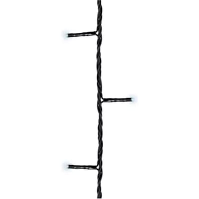 Kerstverlichting (lumineo) Basic 240 Led Lampjes Koel Wit 18m
