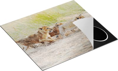 Chefcare Inductie Beschermer Drie Leeuwen Welpen in het Gras - 60x50 cm - Afdekplaat Inductie - Kookplaat Beschermer - Inductie Mat