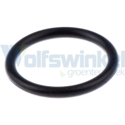 O-ring