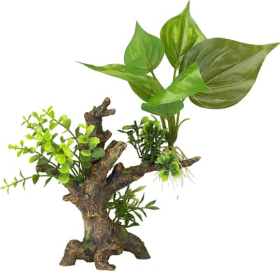 Aqua Della - Aquariumdecoratie - Vissen - Florascape 6 S - 14,5x9x16,5cm - 1st