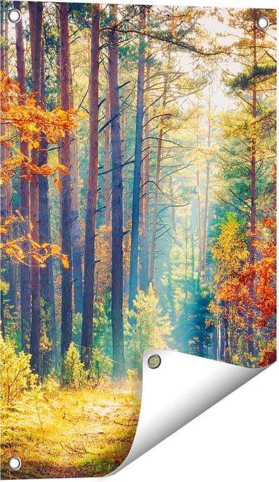 Gards Tuinposter Herfstbos met Zonneschijn - Kleur - 40x60 cm - Tuindoek - Tuindecoratie - Wanddecoratie buiten - Tuinschilderij