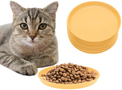 Dailygoods- Kattenschaal 10 stuks - Platte Kattenvoerbak - Ronde Eetbak - Kattenschaal voor Kittens - Hoogwaardig PP-Materiaal - Antislip Ontwerp