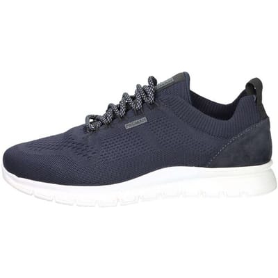 Sneakers Pregunta 241U111