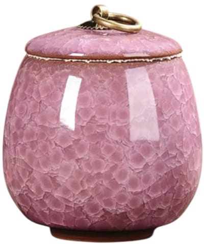 Artic Celeste Mini Urn – Roze – 200 ML – Hoogwaardig Keramiek – Handgemaakt – As Urn – Menselijk As – Huisdieren Urn – Urn Hond – Urn Kat – Urn voor As Volwassen – Decoratie Urne – Urnen – Mini Urn – Urne Volwassenen – Urn voor Dieren