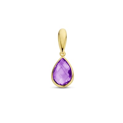 Marie-Celeste Hanger Amethyst - Goud