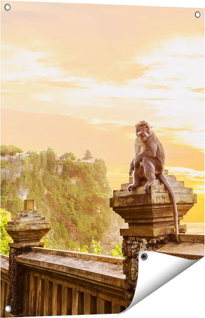 Gards Tuinposter Aap op de Uluwatu Tempel in Bali - 60x80 cm - Tuindoek - Tuindecoratie - Wanddecoratie buiten - Tuinschilderij