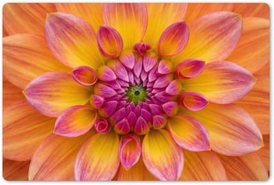 Placemats 45x30 cm - Placemat kunststof - 1 stuk - Dahlia - Bloem - Oranje - Borden onderleggers - Decoratie voor op tafel - Keuken tafeldecoratie accessoires - Vinyl onderlegger - Tafelversiering