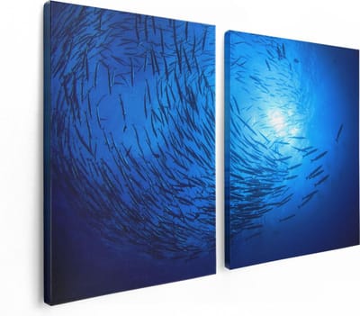 Artaza Canvas Schilderij Tweeluik Zwerm Vissen in de Oceaan - 120x80 - Foto Op Canvas - Canvas Print