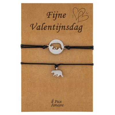 Koppel Armbandjes voor 2 "Fijne Valentijnsdag" - Beertjes - Vriendschapsarmbandjes met Persoonlijk Cadeau Kaartje - Zilverkleurig - Elastisch Verstelbaar - Pax Amare