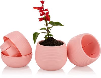 6st ronde cactus bloempotjes roos 6cm met wateropvang drainage UV-bestendig
