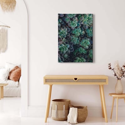 Canvas print DD123120 Succulents A.S. Création 0,5 x 0,7 m Groen Kantoor Hal/Gang Keuken Slaapkamer Woonkamer